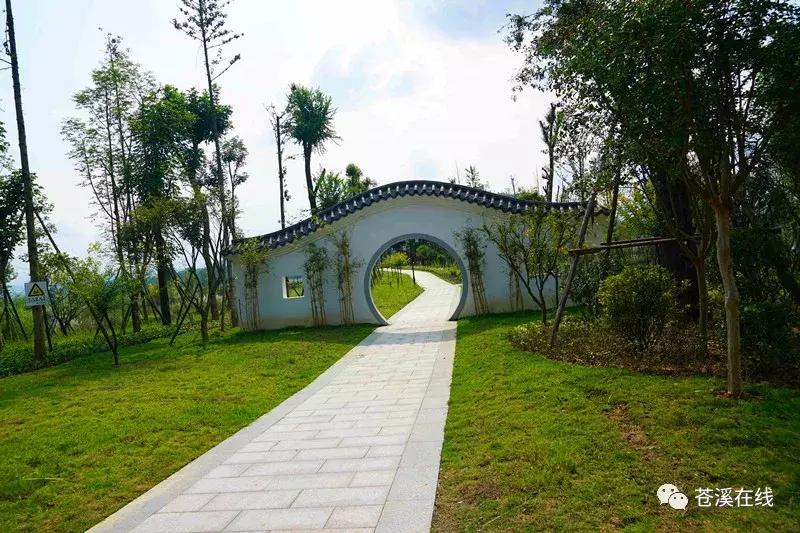 苍溪湿地公园有什么,苍溪最新湿地公园