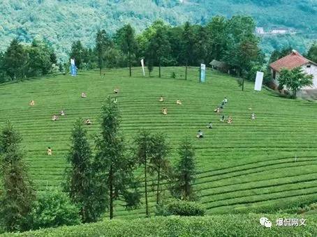 黑岩小说作者收入,黑岩最好看的小说