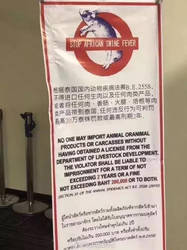 春节去泰国旅游安全吗,中国游客携带100根火腿肠入境泰国