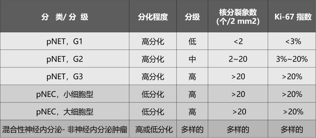胰腺神经内分泌瘤免疫组化指标,胰腺神经内分泌肿瘤的靶向治疗