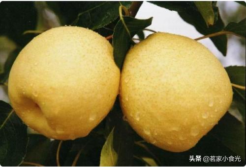 石家庄的特产小吃有哪些可以带,来到石家庄必须尝尝石家庄的特产