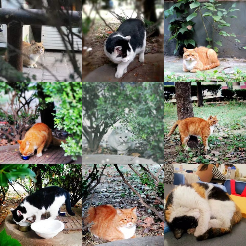 考生速看！8大理由告诉你，千万不要报考北京这所大学！