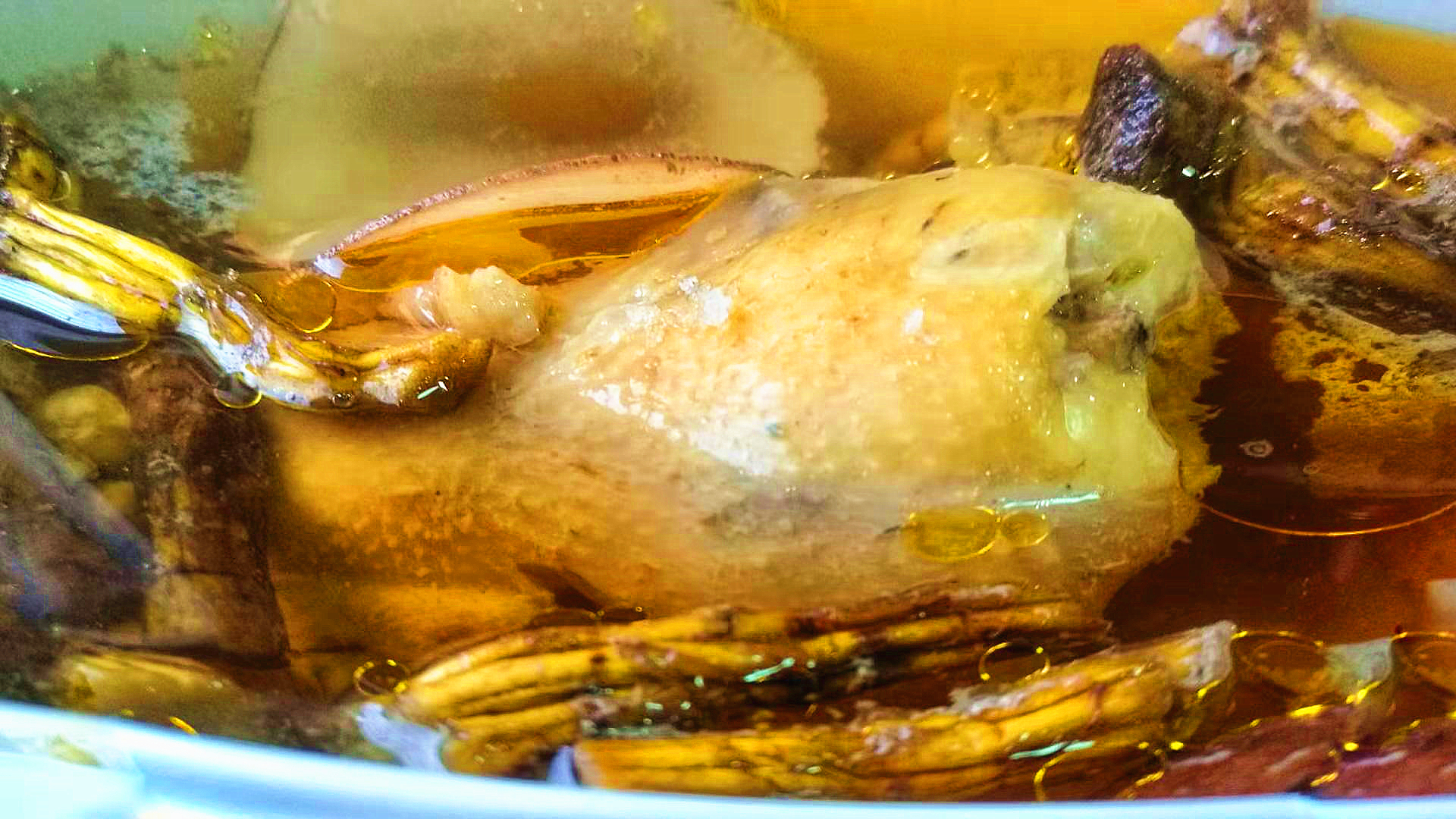 花旗参石斛海底椰炖乌鸡,海底椰石斛花旗参煲汤