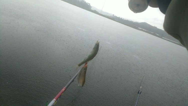 昆明周边露营野钓最佳地方,昆明周边风景优美的野钓地方