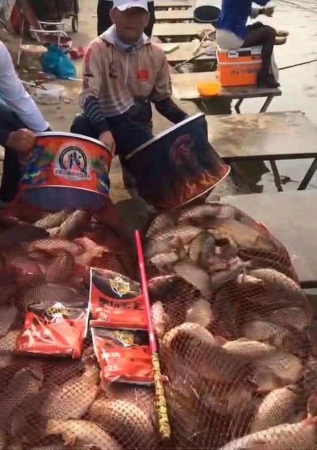 高碳素和低碳素什么区别,高碳素鱼竿优缺点