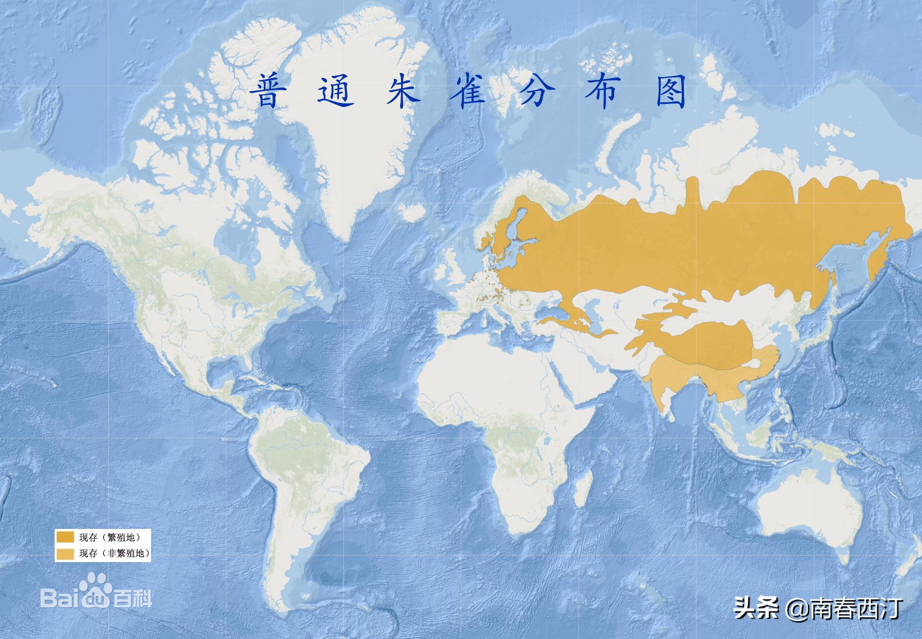 传说中的四大神兽朱雀是什么样子,朱雀在上古神兽中最强吗