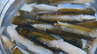 海鲜正当时,辣炒蛏子怎么做好吃又简单视频