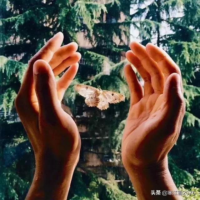 酒干倘卖无多少年了,酒干倘卖无还出现在哪首歌里