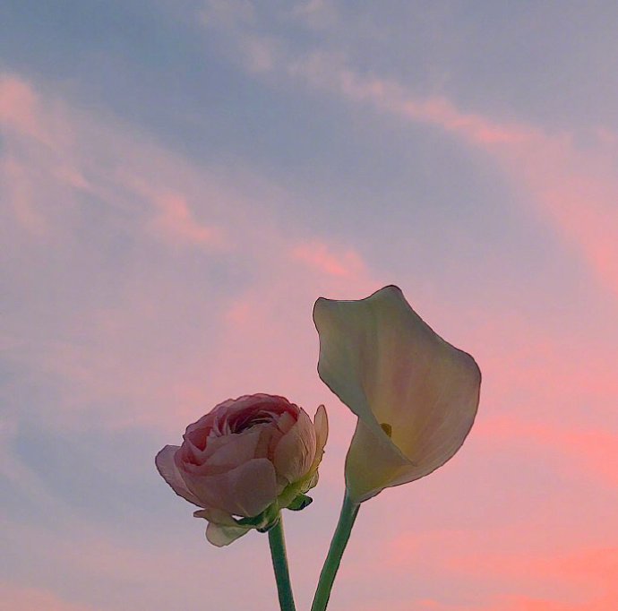 多年后若能重逢别来无恙,如果久别能重逢那该有多好