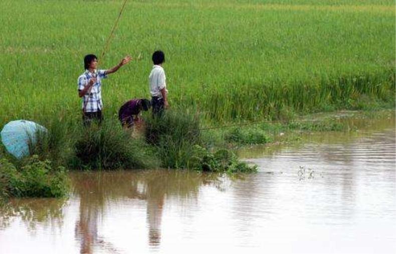 最有效提高中鱼率的钓组,上鱼最容易的抛竿钓组