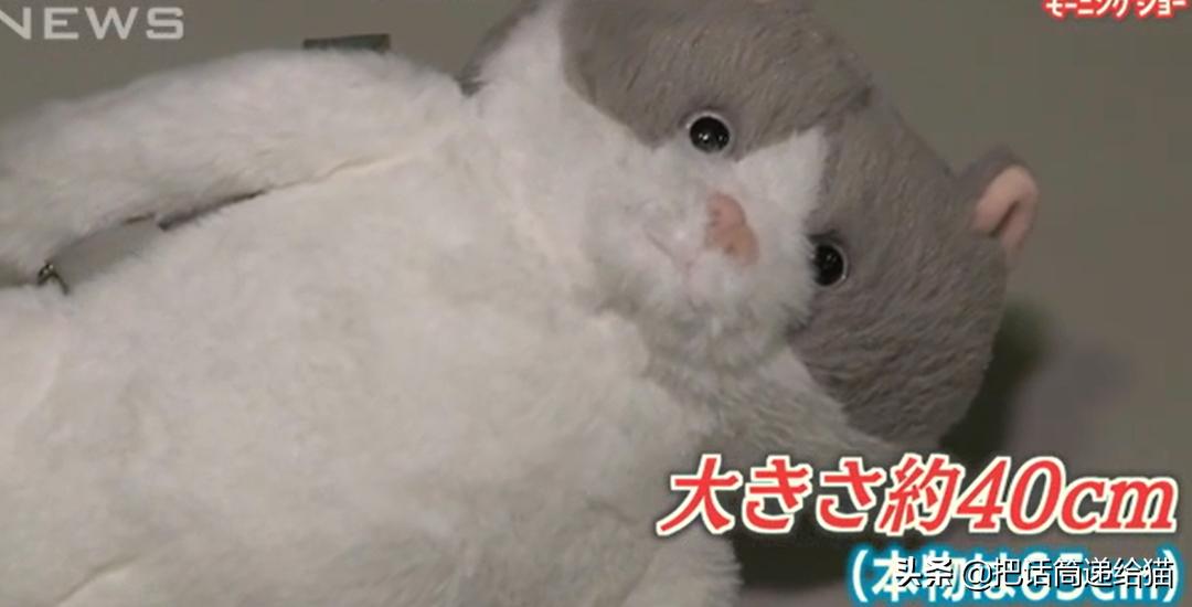 日本网红猫包,日本网红猫咪包