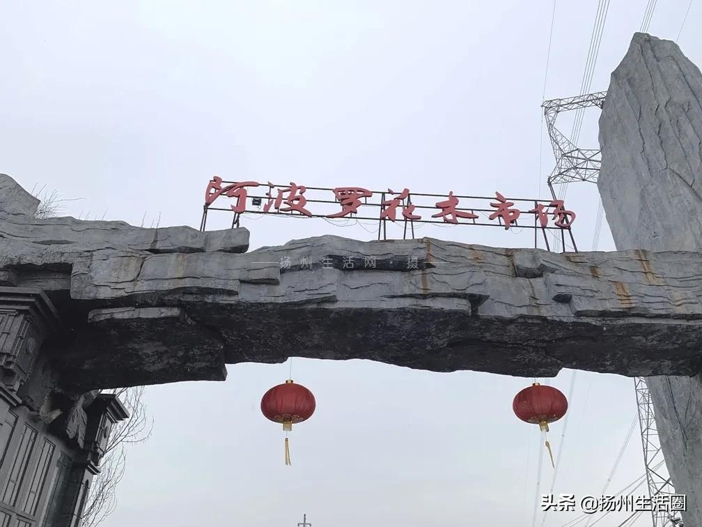 2元花盆批发,2元左右的花盆