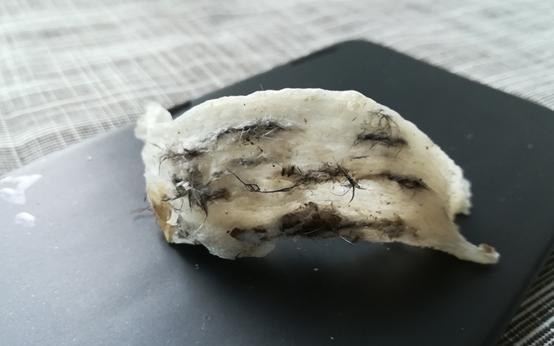 你一定要知道的燕窝小知识,燕窝知识百答之基础篇