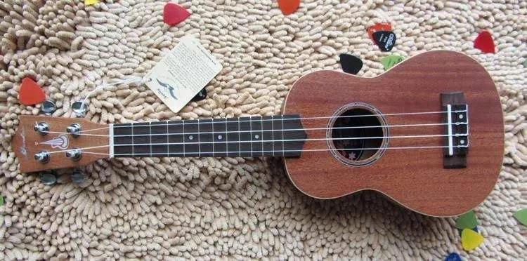 什么乐器简单易学易上手又不扰民,什么乐器比较容易上手又可以演奏