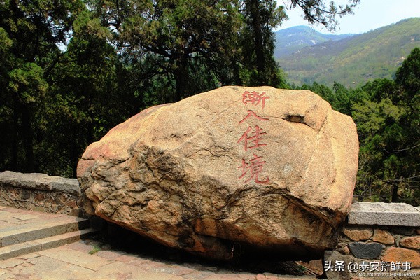 泰山斗姆宫尼姑,泰山斗母宫和斗姥宫