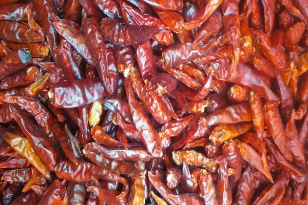 各种干辣椒品种哪种香,各种干辣椒品种和特点