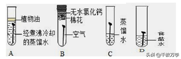 初中化学铁生锈知识点,九年级化学铁防锈原理