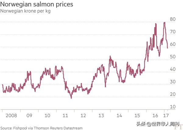买回家的三文鱼如何防止寄生虫,活三文鱼寄生虫