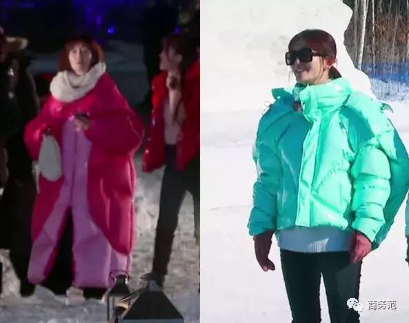 袁咏仪戴劳力士,袁咏仪卡地亚珠宝图