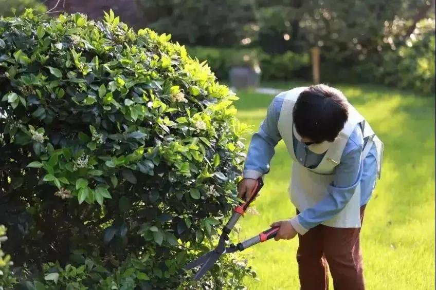 杭州金地天逸管家,杭州金地天逸城