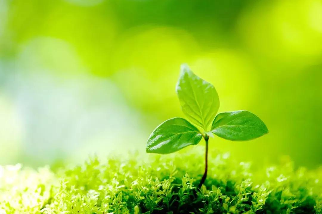 一读就错的100个常见字,100个一读就错的绕口令