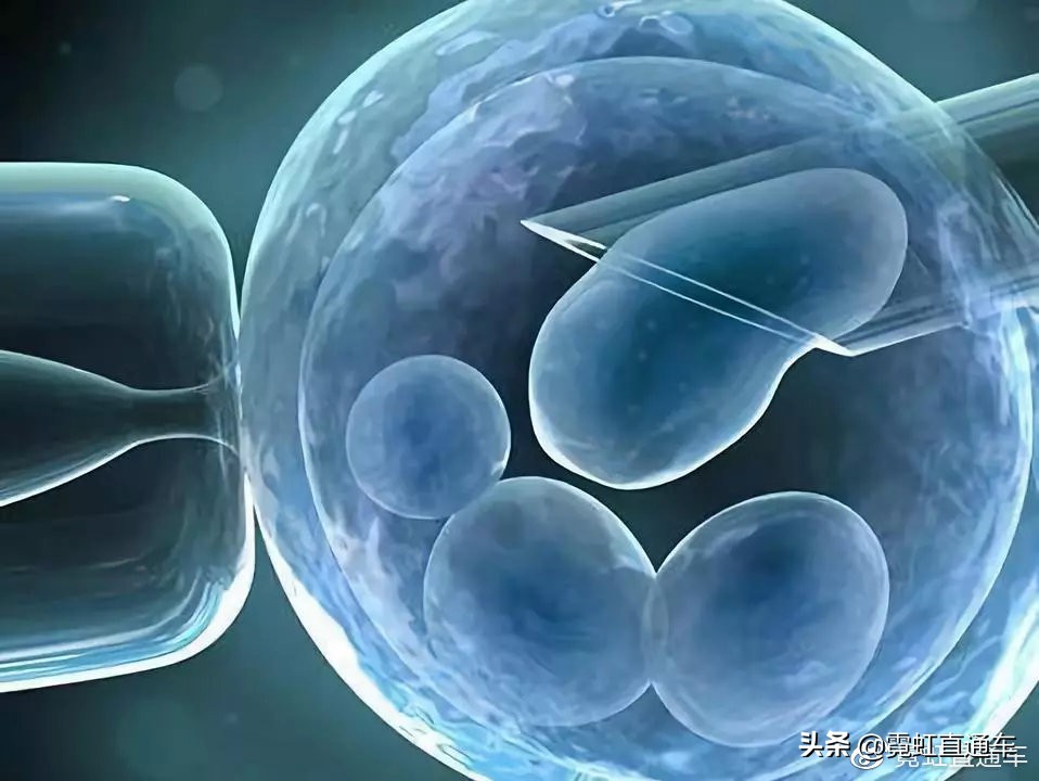 全球首例试管婴儿在哪国,日本试管婴儿有多少人