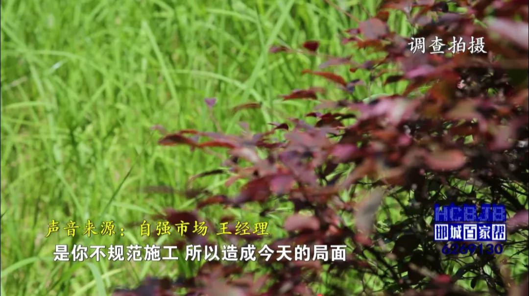 邯城百家帮,邯郸邯城百家帮