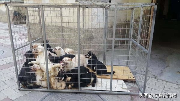 触目惊心的小区后续,触目惊心的小区