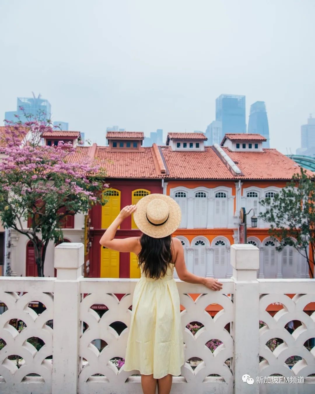 新加坡网红拍照店,新加坡网红点如何拍照