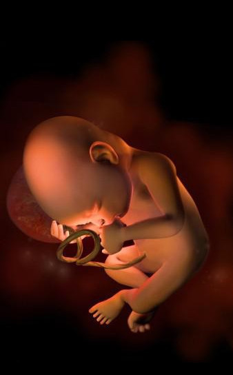 7个月的孕妈妈需要注意什么,7个月大的宝宝有哪些本领