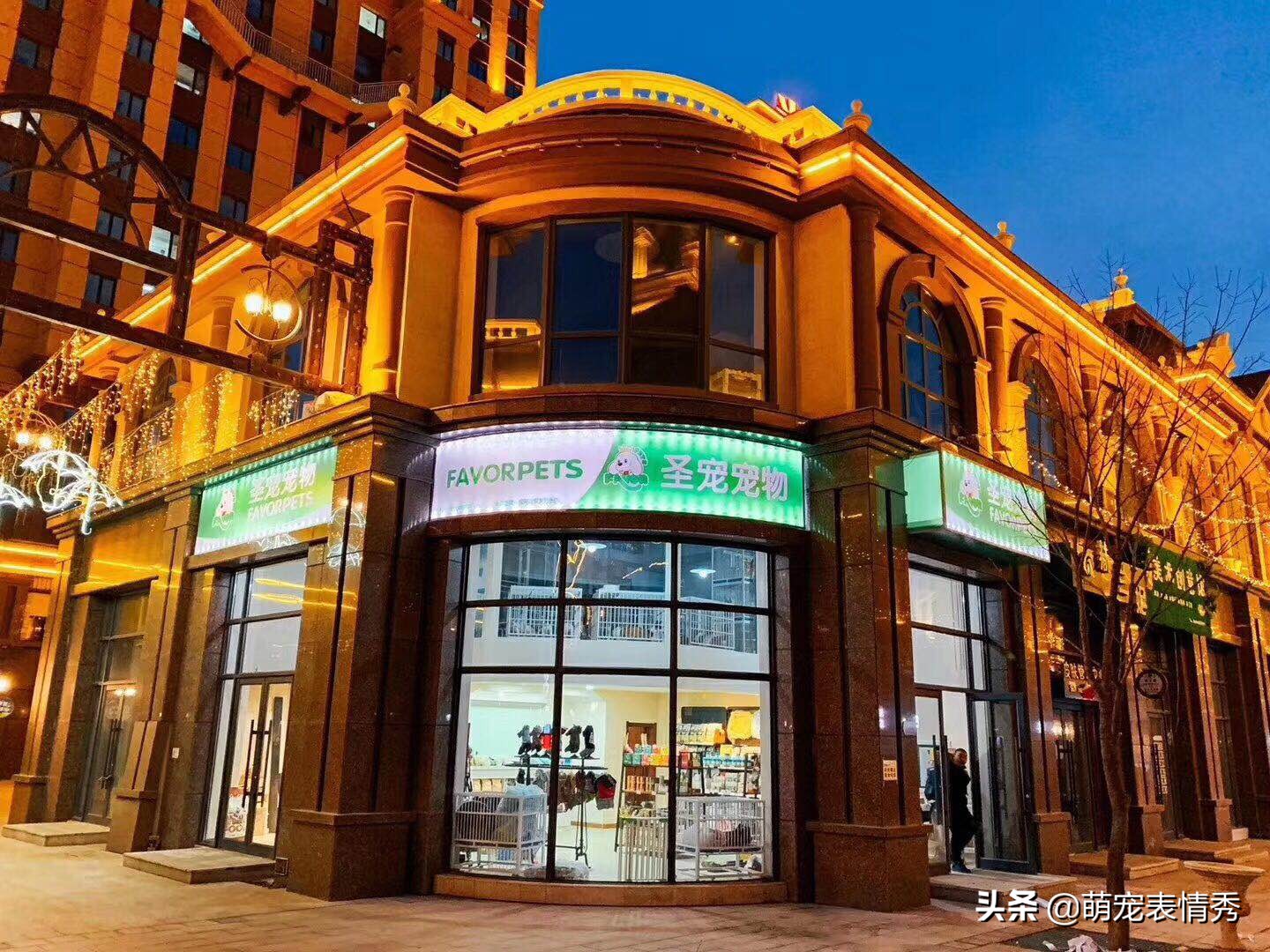 广东宠物店加盟费用是多少,宠物店加盟品牌哪家比较好