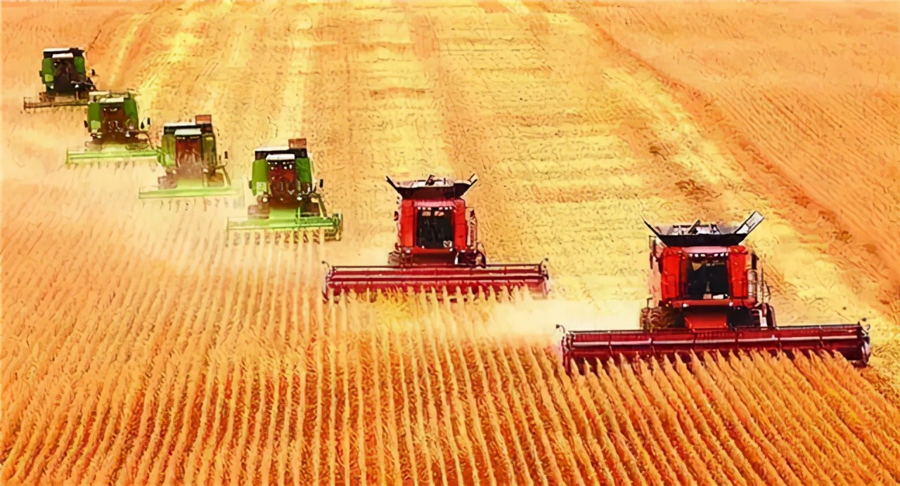 美国粮食价格危机,美国是如何操控世界粮价的