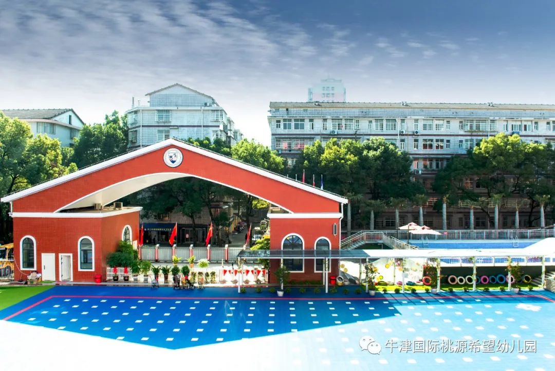 常德桃源红岩小学一年级招生条件,常德桃源文星小学招生条件