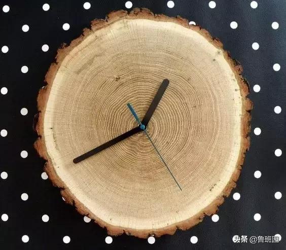 橡木种类大全及图片,史上最专业橡木介绍快来收藏吧