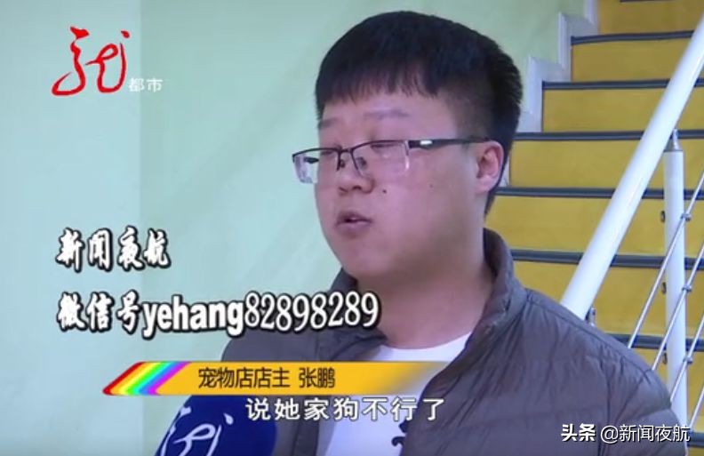 这俩人带宠物狗到处打疫苗，打完疫苗狗就死亡！咋回事？哈尔滨多家宠物店都见过他们