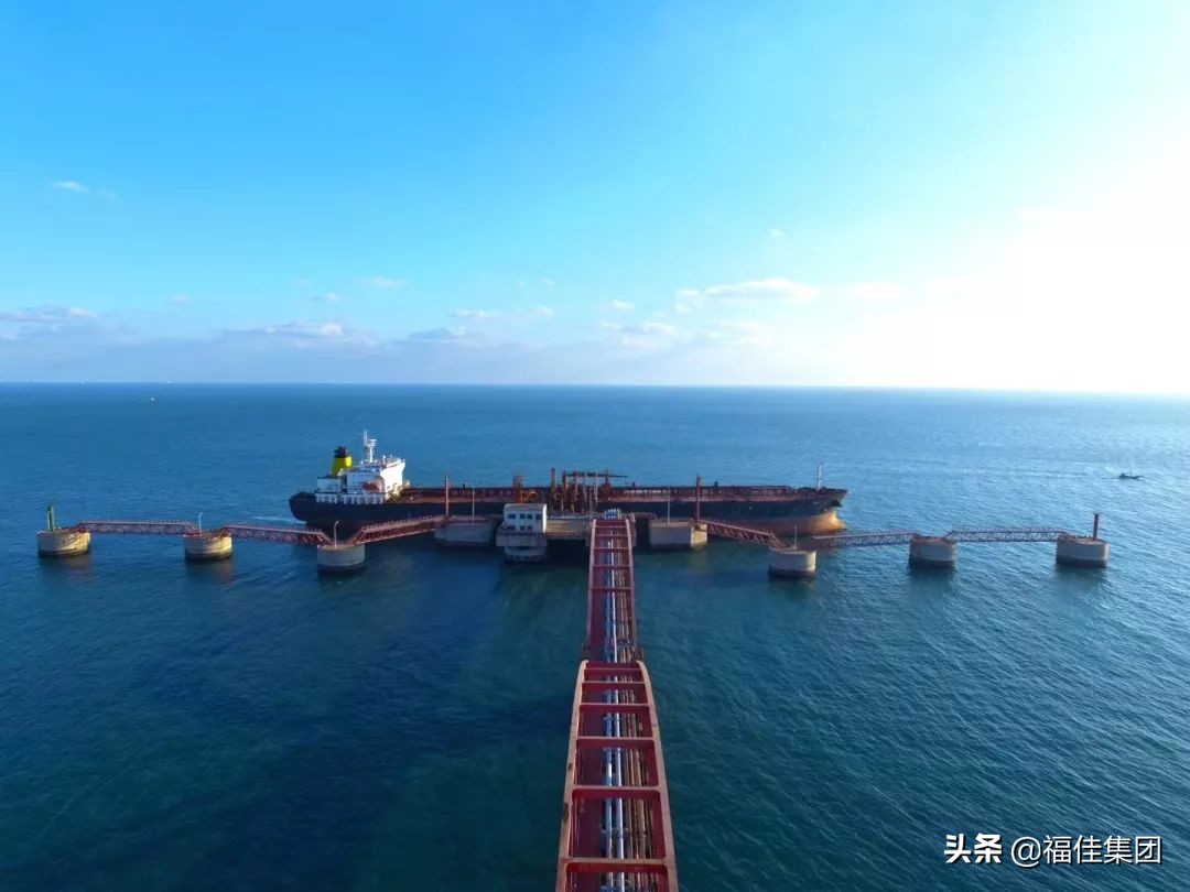 大连福佳大化石油有限公司,福佳集团与大化集团