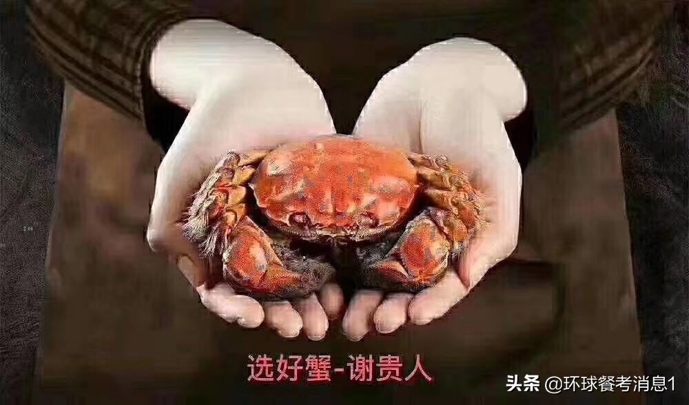今年正宗阳澄湖大闸蟹礼券,正值吃大闸蟹的好时节