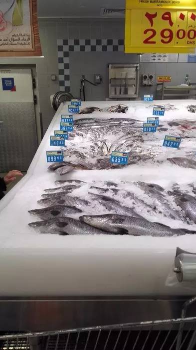 迪拜土豪和中国土豪有什么区别,土豪国迪拜