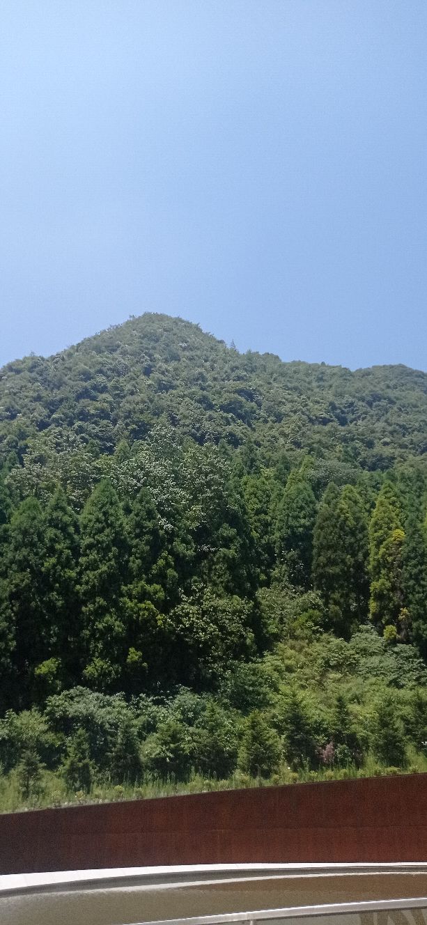 咳血怎么办小妙招,咳血是大病的前兆吗