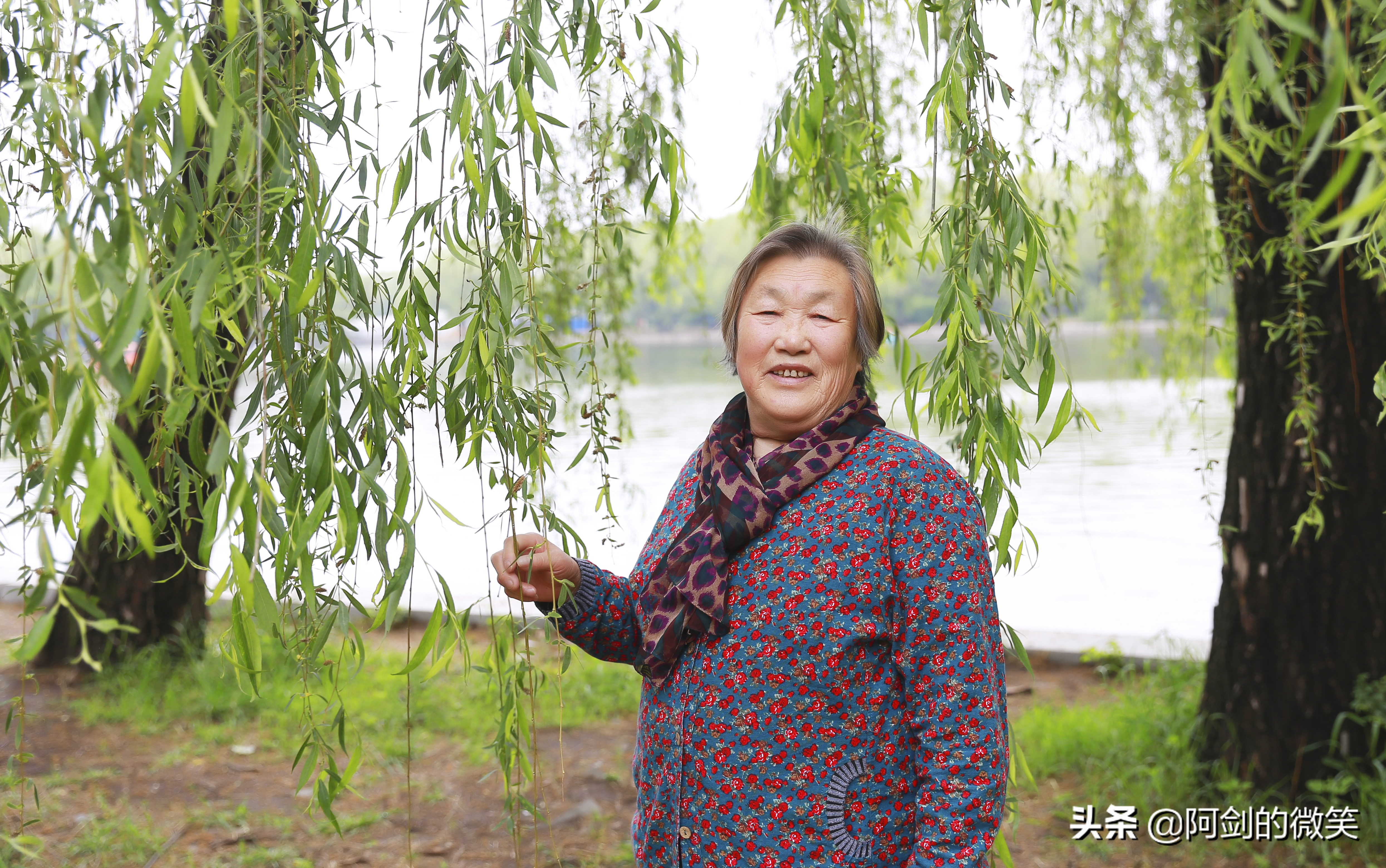 沈阳北陵公园旅游团,今天的沈阳北陵公园