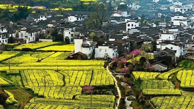 婺源旅游全攻略自由行,婺源旅游攻略一日游自由行