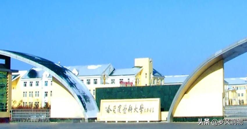 黑龙江大庆对标世界哪个城市,黑龙江大庆新发展