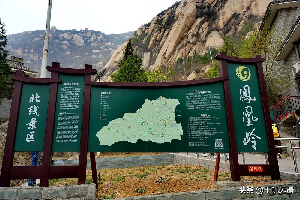 阳春四月迎来春,阳春四月槐花香