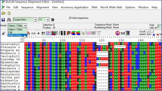 手把手教你构建漂亮的进化树,系统进化树怎么调试节点