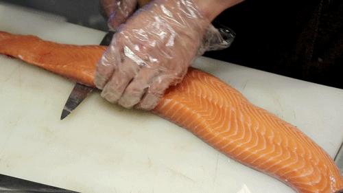 别拦我！古井第四届「肥鱼节」来来来来来啦