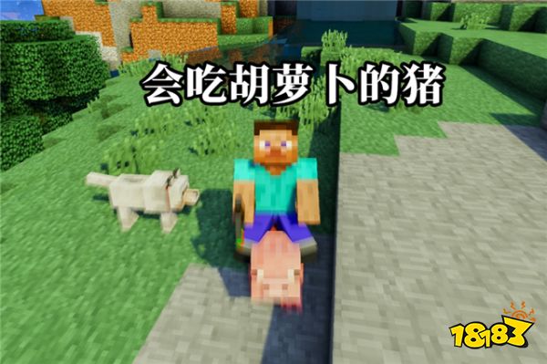 我的世界女巫小屋的秘密,我的世界最诡异的一幕