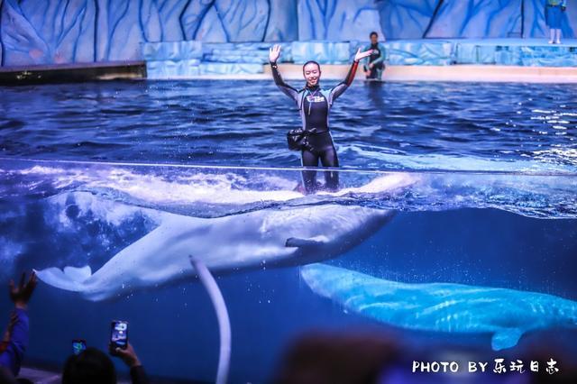 来珠海旅游必打卡的景点,春节珠海亲子游玩地方推荐