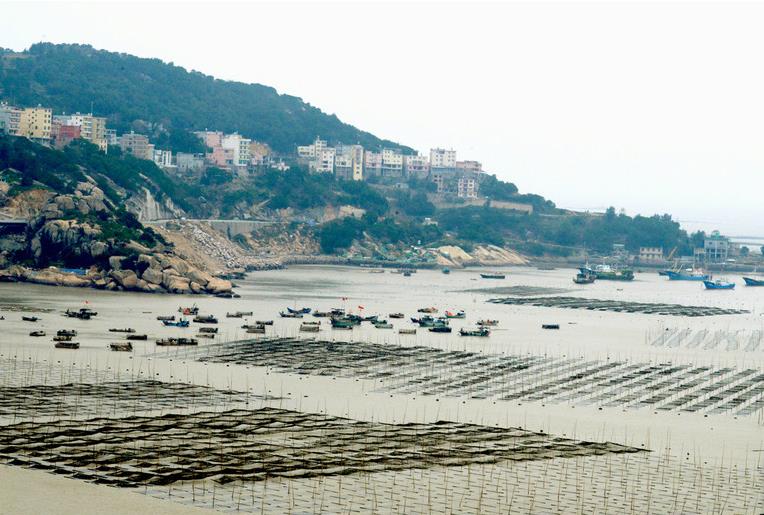 网箱养殖泥鳅,养殖泥鳅网箱怎么做的