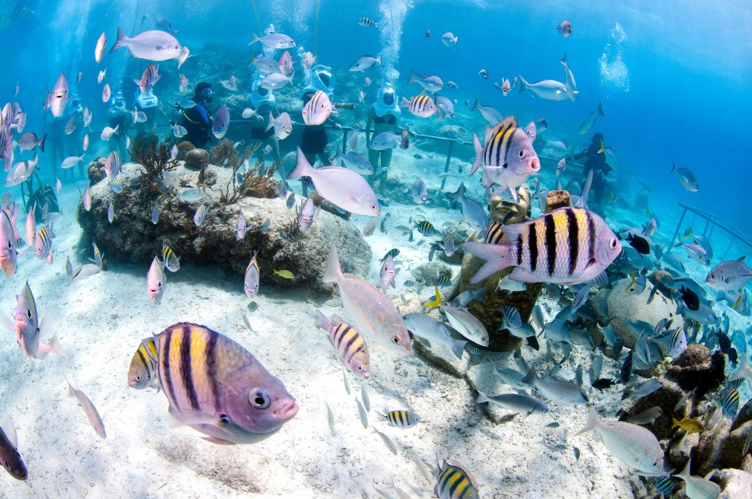 墨西哥坎昆亲子旅游攻略,坎昆旅游季