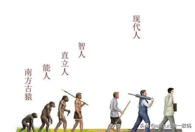 久坐神器好物推荐,小米座椅靠背评测